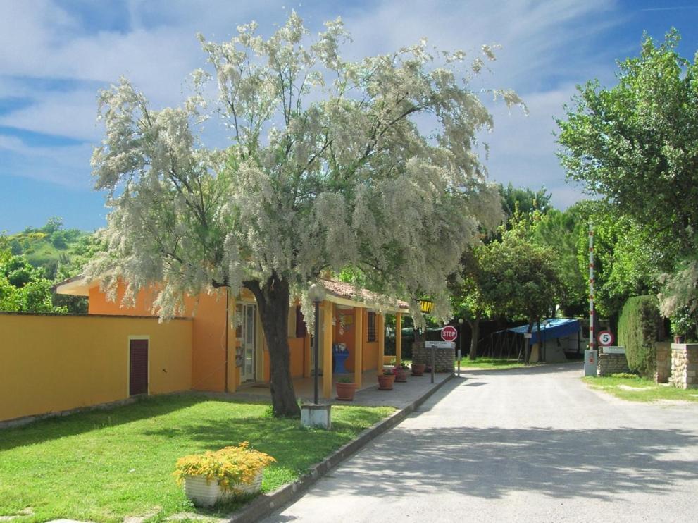 Camping Paradiso Pesaro Exterior foto